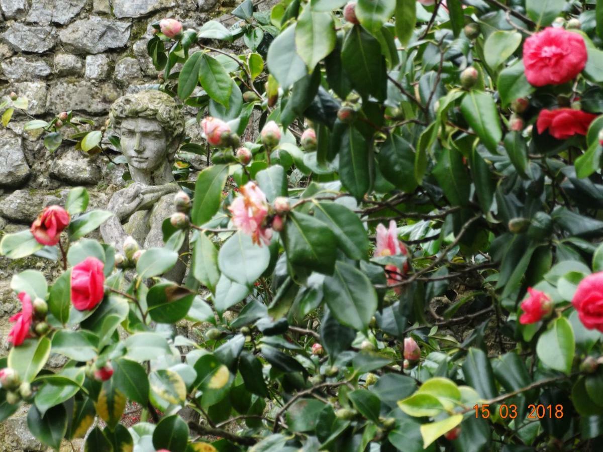Hotel Particulier "Le Clos De La Croix" Bayeux Buitenkant foto